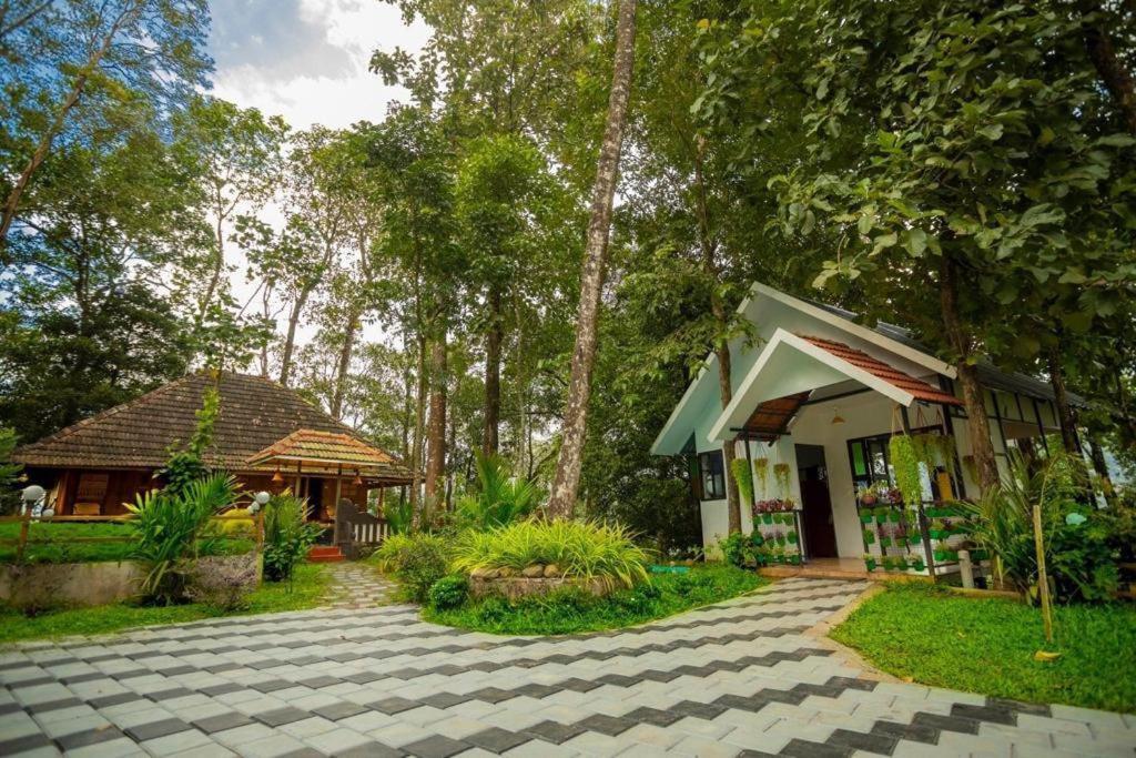 Traditional Kerala Villa 蒙纳 外观 照片
